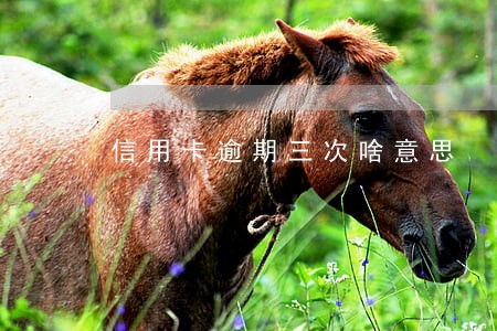 信用卡逾期三次啥意思 信用卡逾期三次啥意思