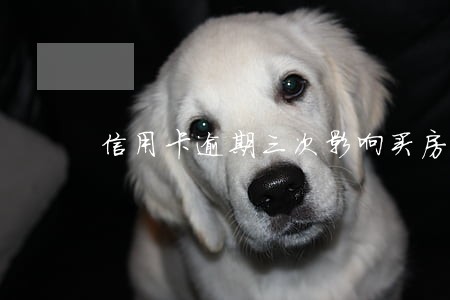 信用卡逾期三次影响买房吗 信用卡逾期三次影响买房吗