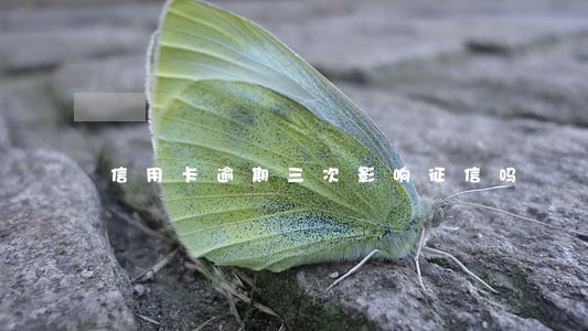 信用卡逾期三次影响征信吗