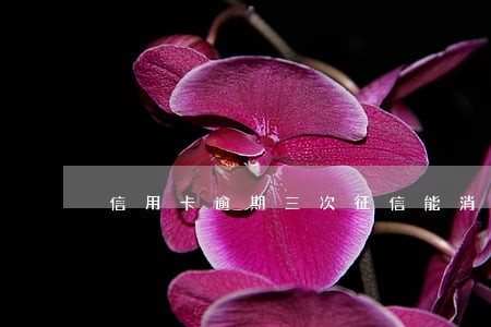 信用卡逾期三次征信能消吗