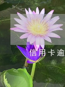 信用卡逾期三次要求银行出证明吗 信用卡逾期三次要求银行出证明吗
