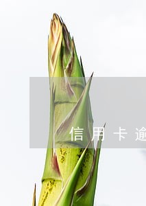 信用卡逾期三百元