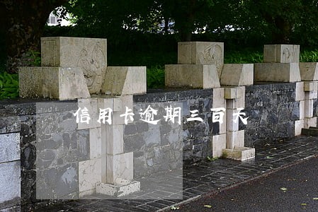 信用卡逾期三百天 信用卡逾期三百天