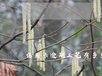 信用卡逾期三笔有多严重 信用卡逾期三笔有多严重