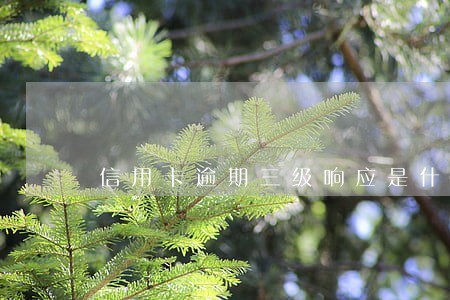信用卡逾期三级响应是什么意思