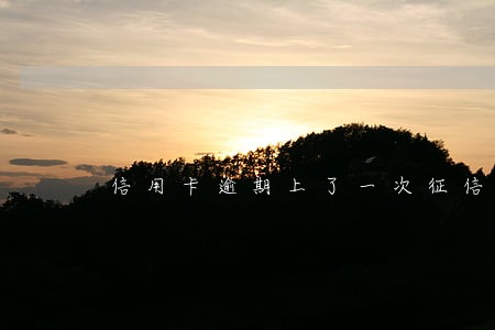 信用卡逾期上了一次征信 信用卡逾期上了一次征信