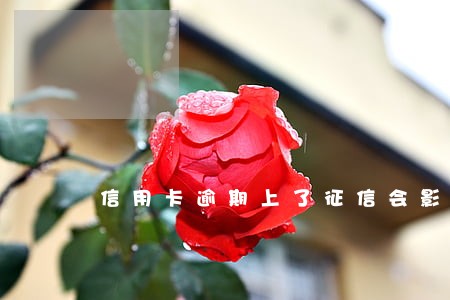 信用卡逾期上了征信会影响孩子吗