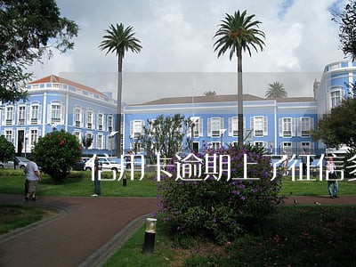 信用卡逾期上了征信多久才解除呢 信用卡逾期上了征信多久才解除呢