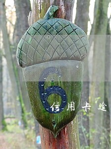 信用卡逾期上了征信目前常见吗 信用卡逾期上了征信目前常见吗