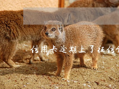 信用卡逾期上了征信能不能申诉 信用卡逾期上了征信能不能申诉