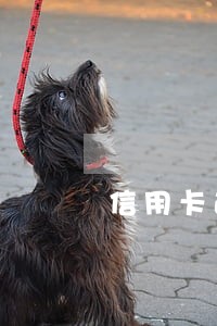 信用卡逾期上亲戚家门要钱 信用卡逾期上亲戚家门要钱