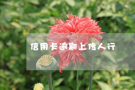 信用卡逾期上传人行