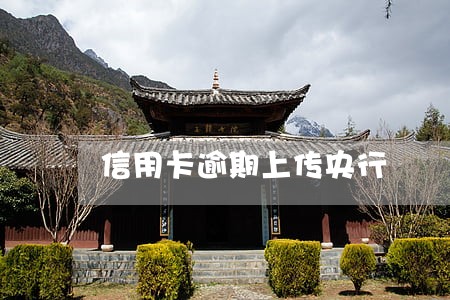 信用卡逾期上传央行 信用卡逾期上传央行
