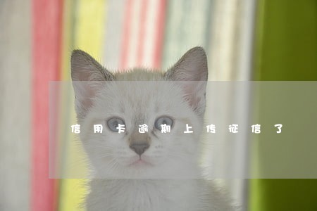信用卡逾期上传征信了 信用卡逾期上传征信了