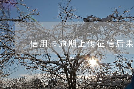 信用卡逾期上传征信后果 信用卡逾期上传征信后果