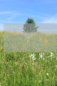 信用卡逾期上传资料怎么上 信用卡逾期上传资料怎么上