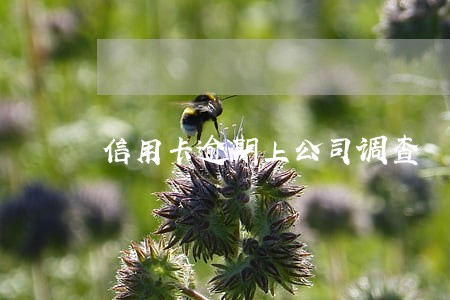 信用卡逾期上公司调查 信用卡逾期上公司调查