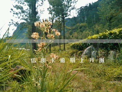 信用卡逾期上升图 信用卡逾期上升图