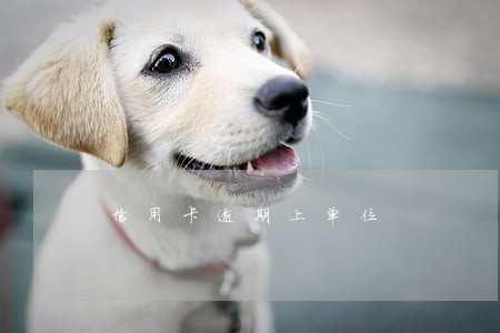 信用卡逾期上单位 信用卡逾期上单位