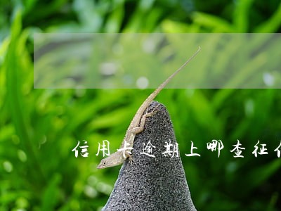 信用卡逾期上哪查征信 信用卡逾期上哪查征信
