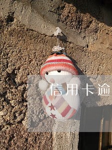 信用卡逾期上哪里查询