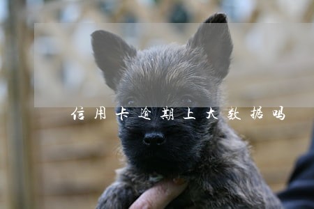 信用卡逾期上大数据吗 信用卡逾期上大数据吗