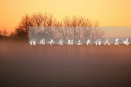 信用卡逾期上失信人员吗 信用卡逾期上失信人员吗