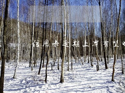 信用卡逾期上岸有望吗