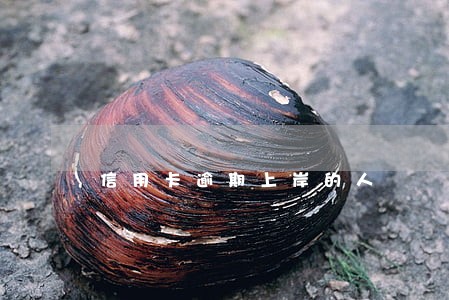 信用卡逾期上岸的人 信用卡逾期上岸的人