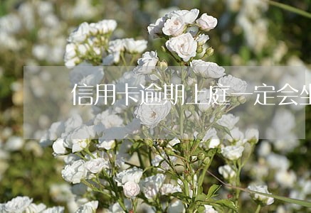 信用卡逾期上庭一定会坐牢吗 信用卡逾期上庭一定会坐牢吗