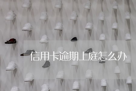 信用卡逾期上庭怎么办
