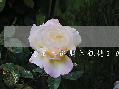 信用卡逾期上征信2021年新规 信用卡逾期上征信2021年新规