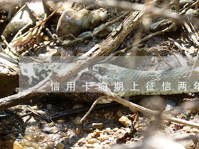 信用卡逾期上征信两年后才知道