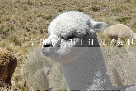 信用卡逾期上征信了会封卡吗