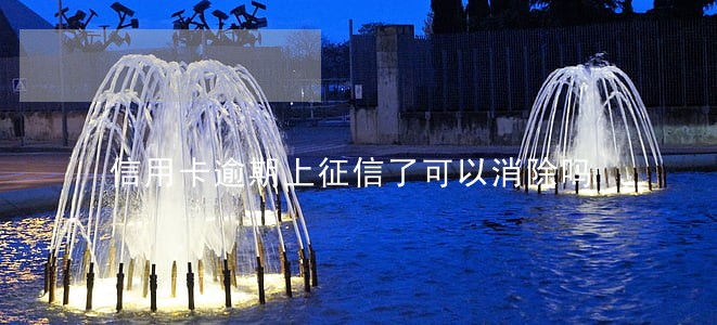 信用卡逾期上征信了可以消除吗