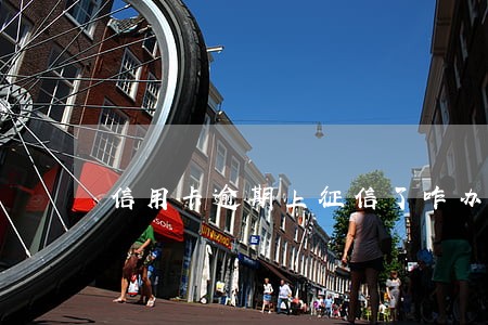 信用卡逾期上征信了咋办 信用卡逾期上征信了咋办