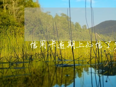 信用卡逾期上征信了多久消除 信用卡逾期上征信了多久消除