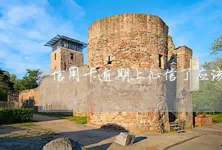 信用卡逾期上征信了应该怎么办 信用卡逾期上征信了应该怎么办