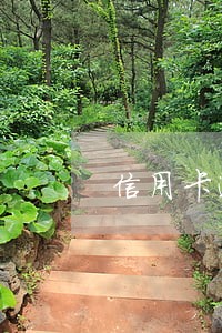信用卡逾期上征信了影响大吗