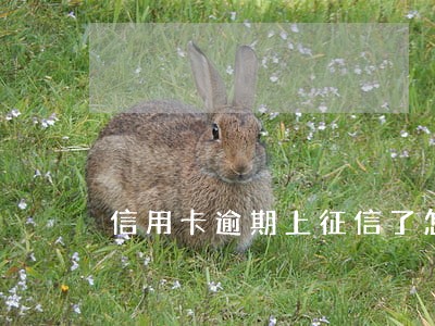 信用卡逾期上征信了怎么做 信用卡逾期上征信了怎么做