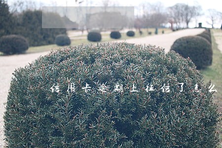 信用卡逾期上征信了怎么办广发 信用卡逾期上征信了怎么办广发