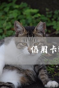 信用卡逾期上征信人是不是就完了 信用卡逾期上征信人是不是就完了