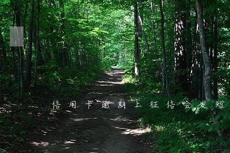 信用卡逾期上征信会发短信吗