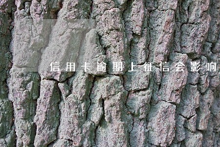 信用卡逾期上征信会影响多久 信用卡逾期上征信会影响多久