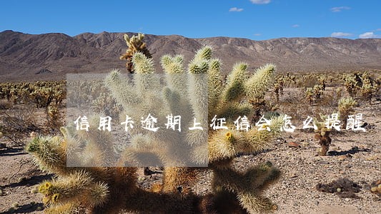 信用卡逾期上征信会怎么提醒 信用卡逾期上征信会怎么提醒
