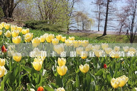 信用卡逾期上征信会消除 信用卡逾期上征信会消除