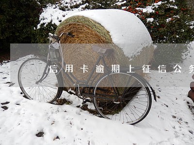 信用卡逾期上征信公务员报考 信用卡逾期上征信公务员报考