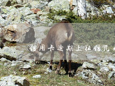 信用卡逾期上征信几天 信用卡逾期上征信几天