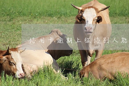信用卡逾期上征信别人能知道吗 信用卡逾期上征信别人能知道吗