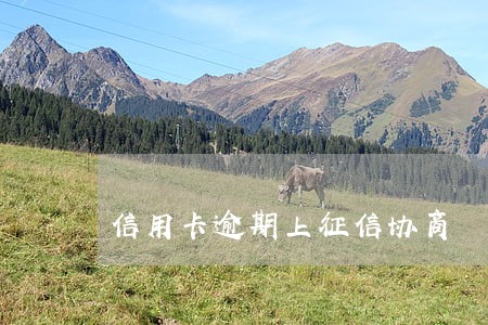 信用卡逾期上征信协商 信用卡逾期上征信协商